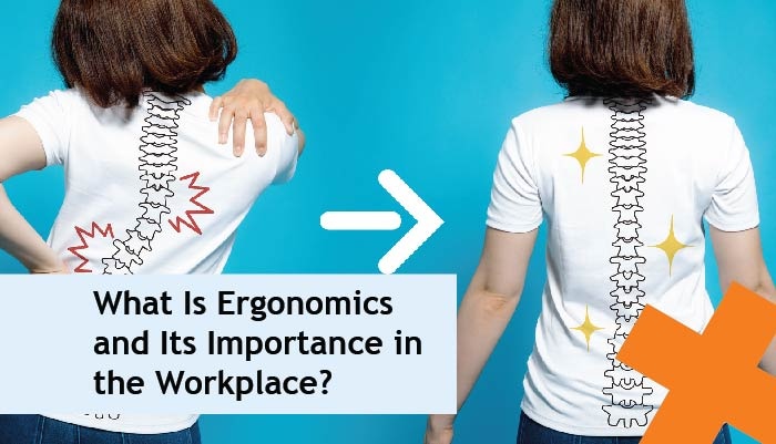 what is ergonomics and its importance in the workplace?